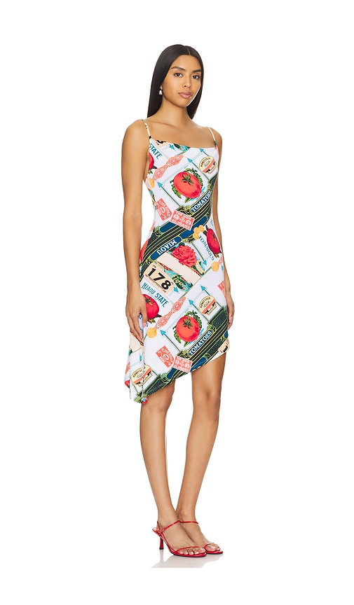 Shop Miaou Helga Dress In Figaro Print