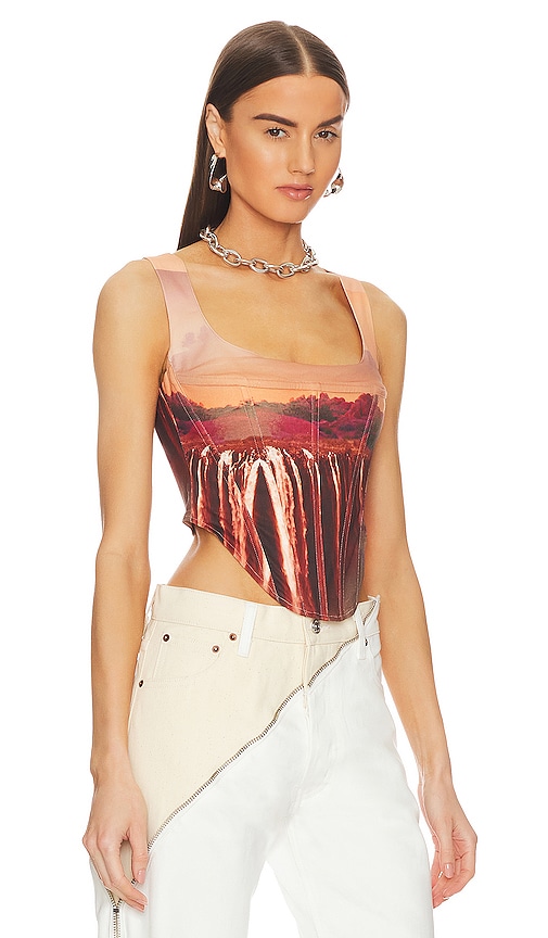 Shop Miaou Campbell Corset In Oasis
