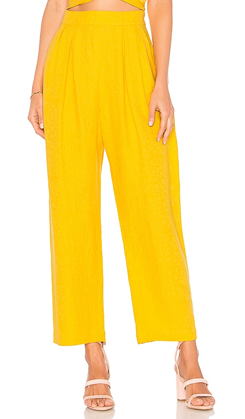 Audre Pant