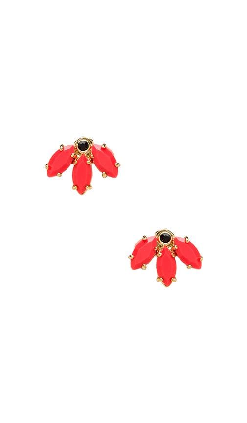 Read My Palmz Marquis Palm Studs