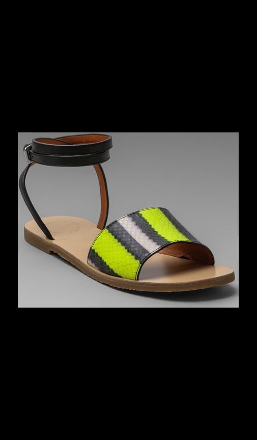 Anemone Fish Stripe Flat Sandal