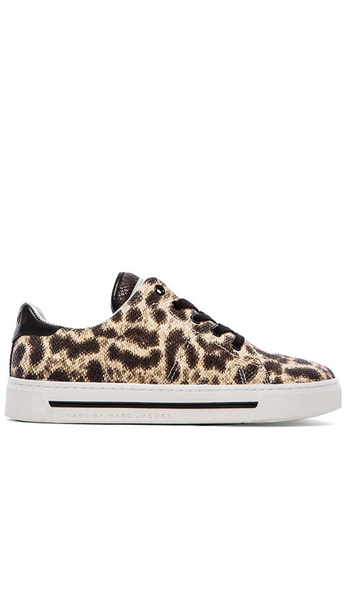 Cute Kicks 10mm Sneaker