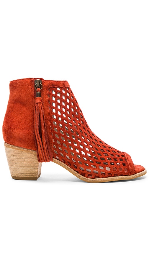 Indie Booties