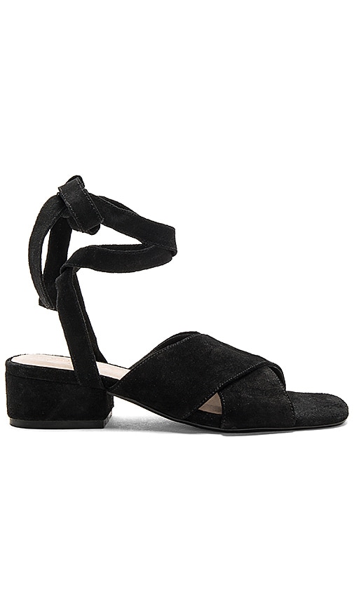 Frenzy Heel