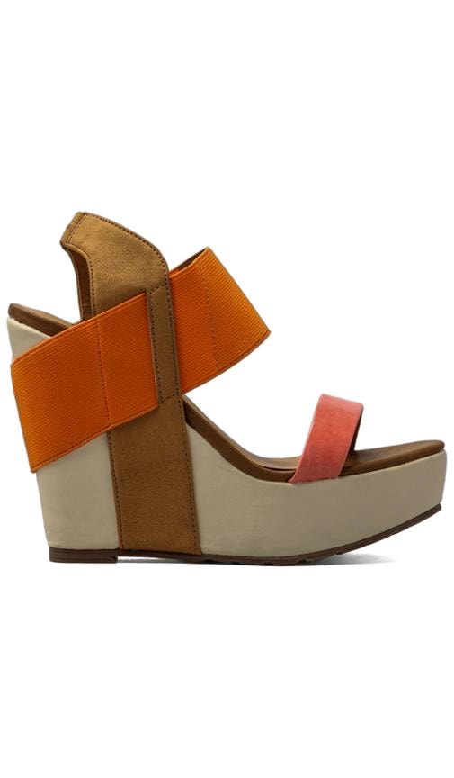 Barbary Wedge