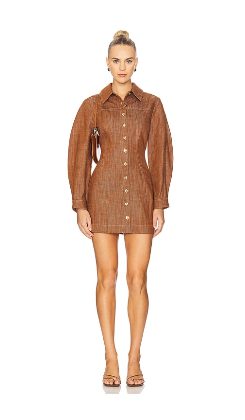 Matthew Bruch Seamed Leg Of Mutton Sleeve Mini Dress In Brown