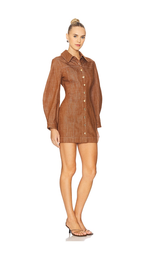 Matthew Bruch Seamed Leg Of Mutton Sleeve Mini Dress In Brown