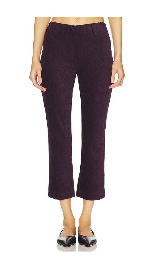 Maude Club Jade Pant In Purple