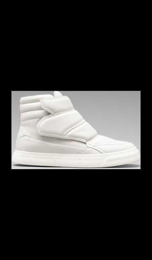 New Sneaker