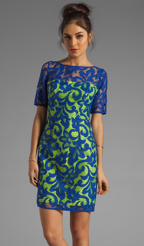 Magnolia Lace Elbow Sleeve Dress