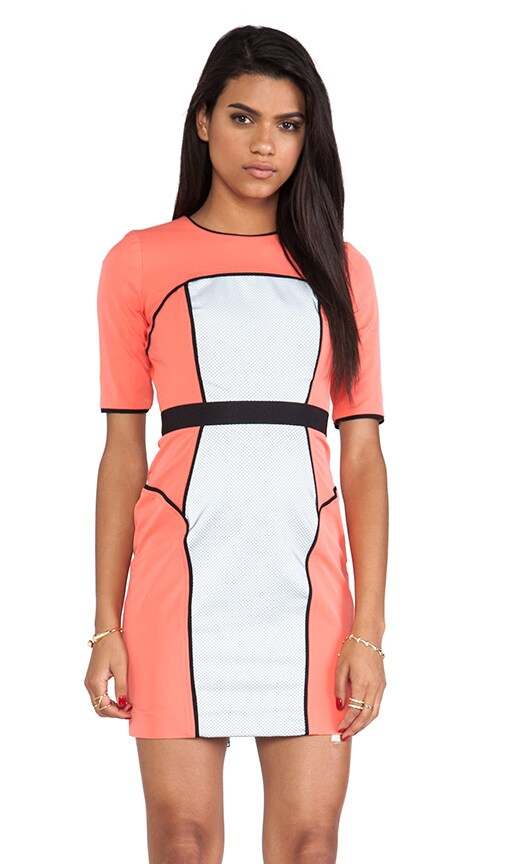 Italian Power Stretch Reflective Sleeve Dress