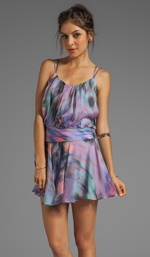 Iris Print Silk Drop waist Dress