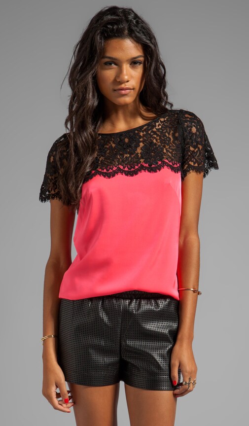 Floral Scalloped Lace Mila Top