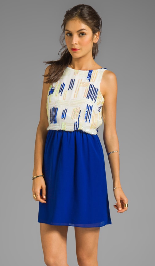 Sleeveless Dress with Embroidery