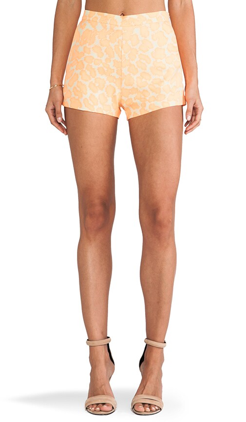 Animal Print Shorts