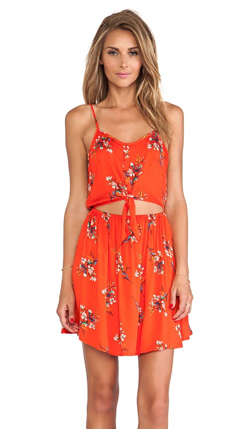 Flower Posy Dress