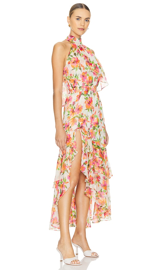 Shop Misa Aneva Dress In Palmarei Blooms