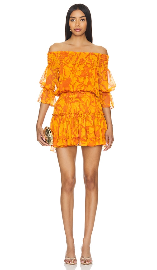 Shop Misa Darla Dress In Orange