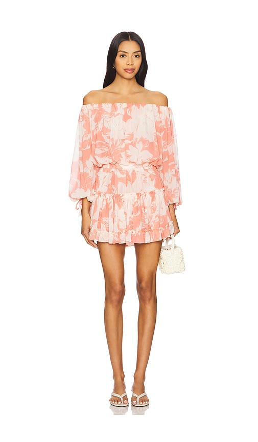 Zonia Dress in Pink. - size XXS (also in L, M, S, XL, XS)