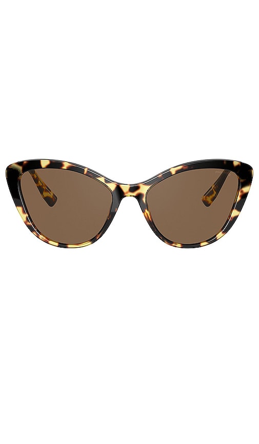 Cat Eye in Brown. Revolve Women Accessories Sunglasses Cat Eye Sunglasses 