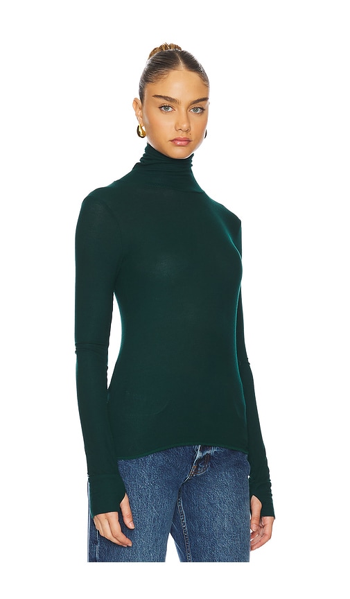 Shop Michael Lauren Arlen Long Sleeve Fitted Turtle Neck Top In Green