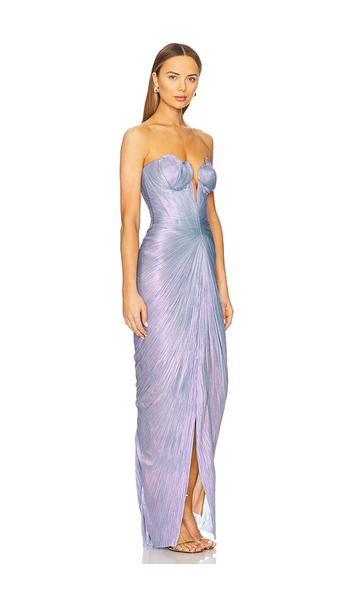 Maria Lucia Hohan X Revolve Reina Gown