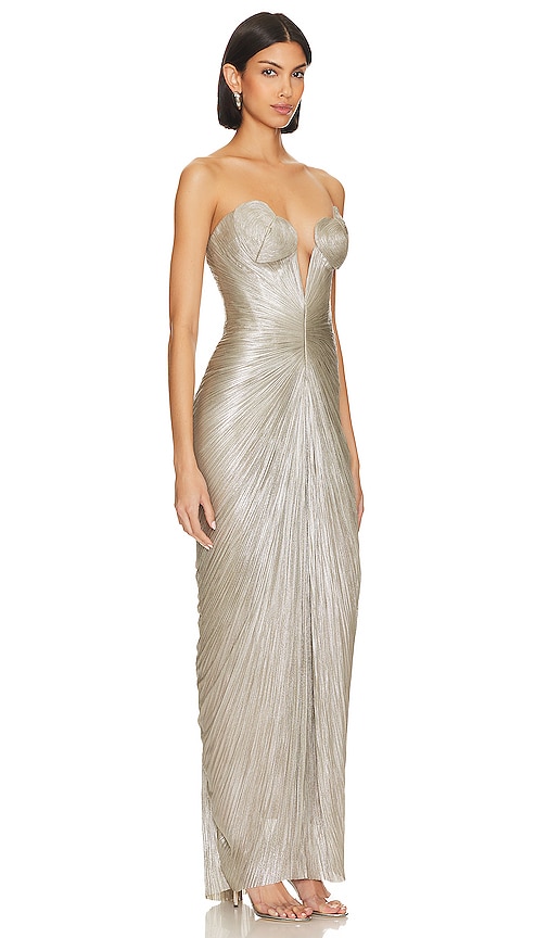 Shop Maria Lucia Hohan Reina Gown In Metallic Silver