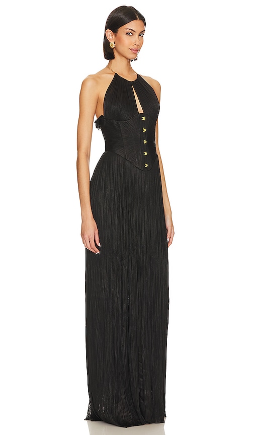 Shop Maria Lucia Hohan Therese Gown In Black