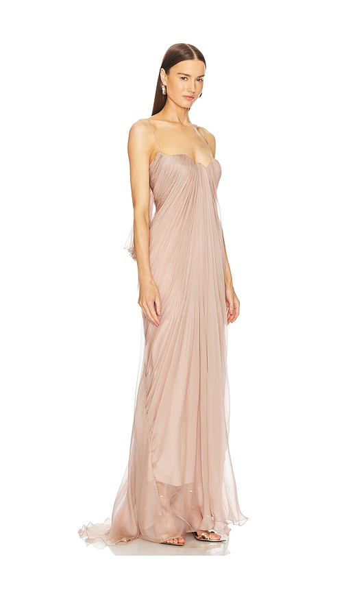 Shop Maria Lucia Hohan Alaya Gown In Desert Rose