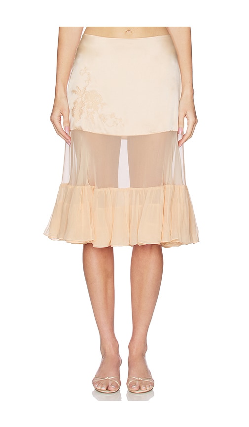 Mirror Palais Silk Chiffon Crinoline Skirt