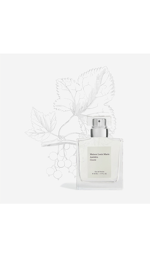 Maison Louis Marie Antidris Cassis Eau De Parfum