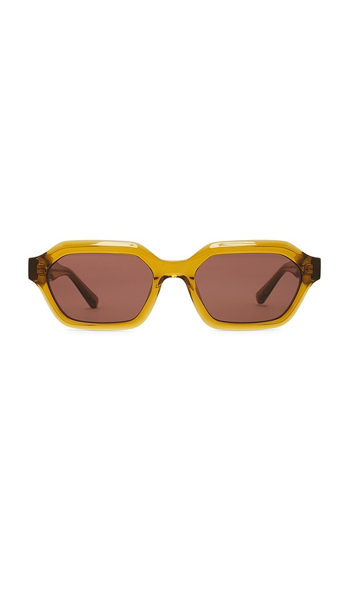 Anthony Sunglasses in Brown.