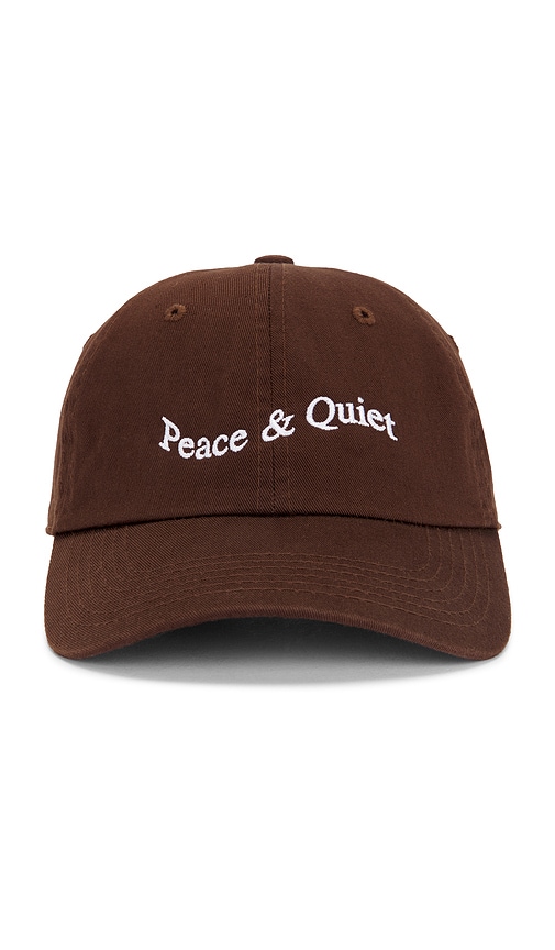 Shop Museum Of Peace And Quiet Wordmark Dad Hat In 브라운