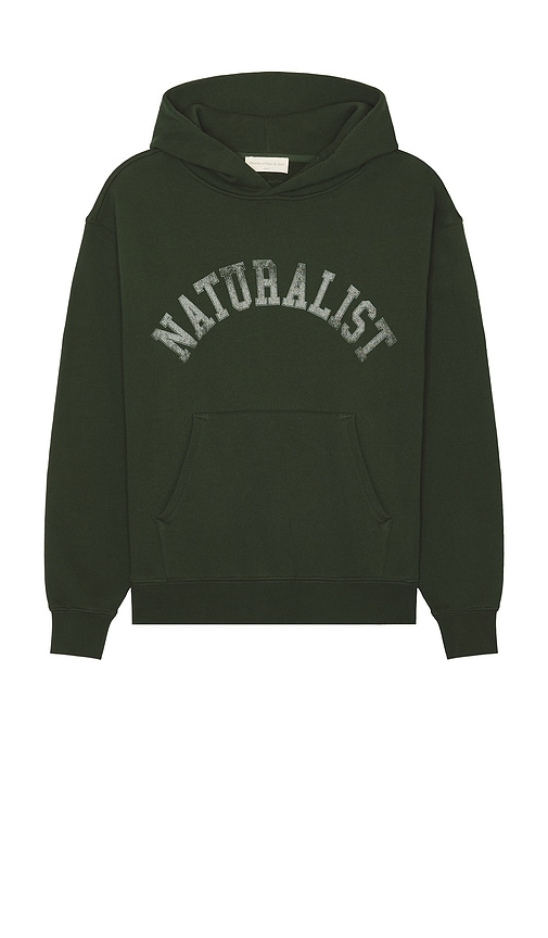Museum Of Peace And Quiet Naturalist Hoodie In Forest