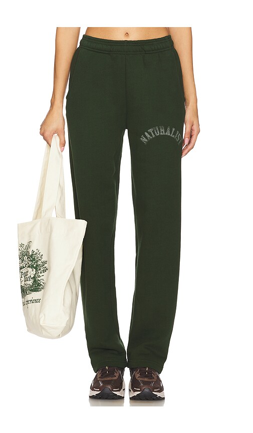 Museum of Peace and Quiet Naturalist Sweatpants in Forest