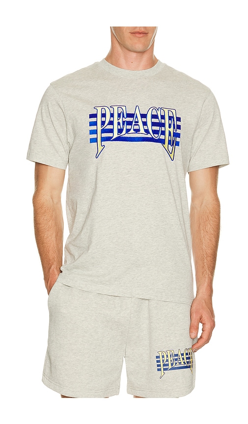 Museum of Peace and Quiet Seventies T-Shirt en Light Grey. Taille M. Also en XS, S, L, XL/1X.