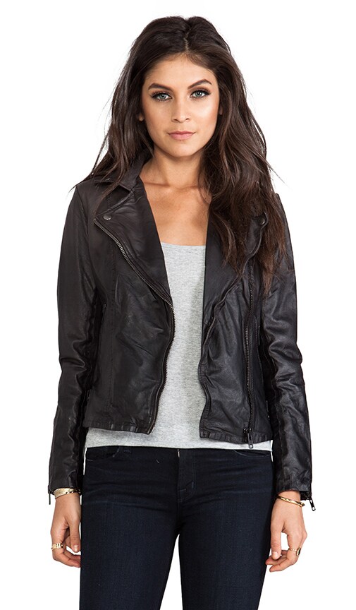 Chello Moto Biker Jacket