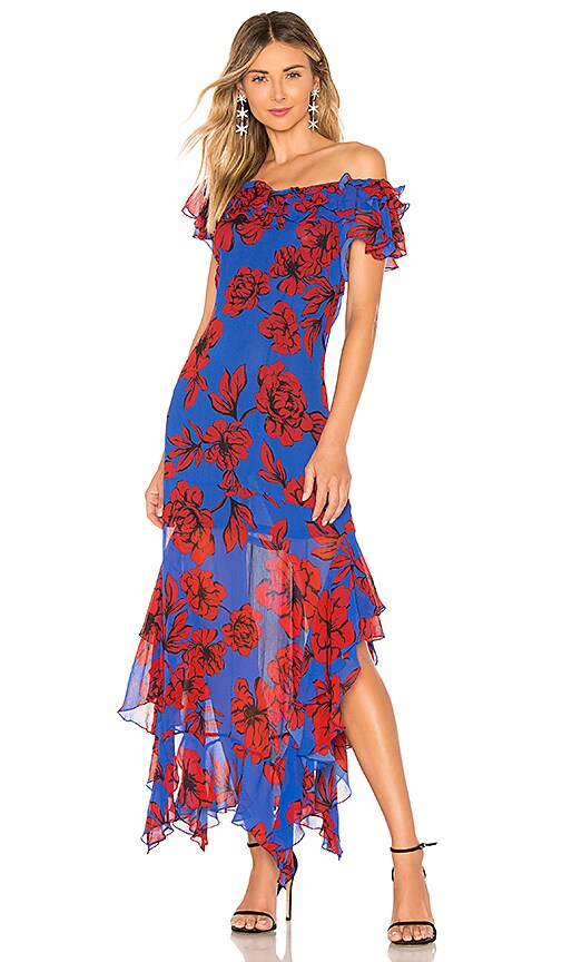 Sofia Print Dress