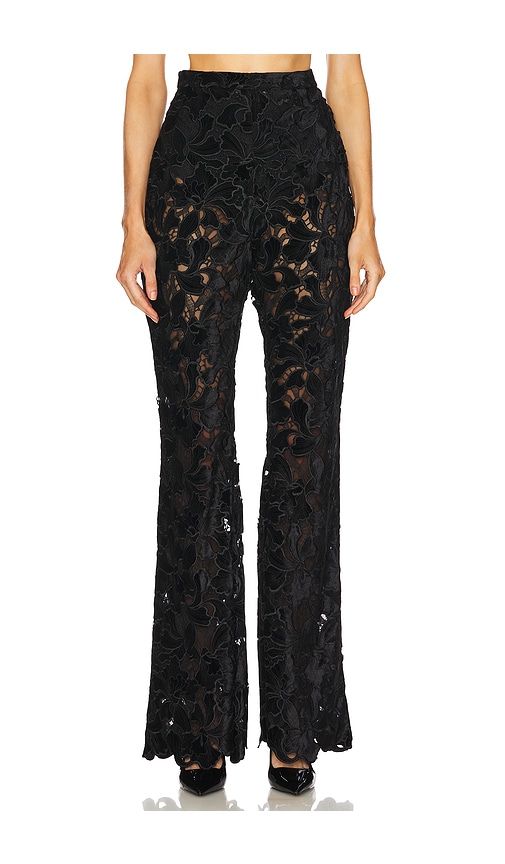 Shop Nadine Merabi Floral Velvet Lace Trousers In Black