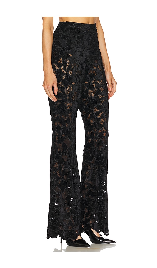 Shop Nadine Merabi Floral Velvet Lace Trousers In Black