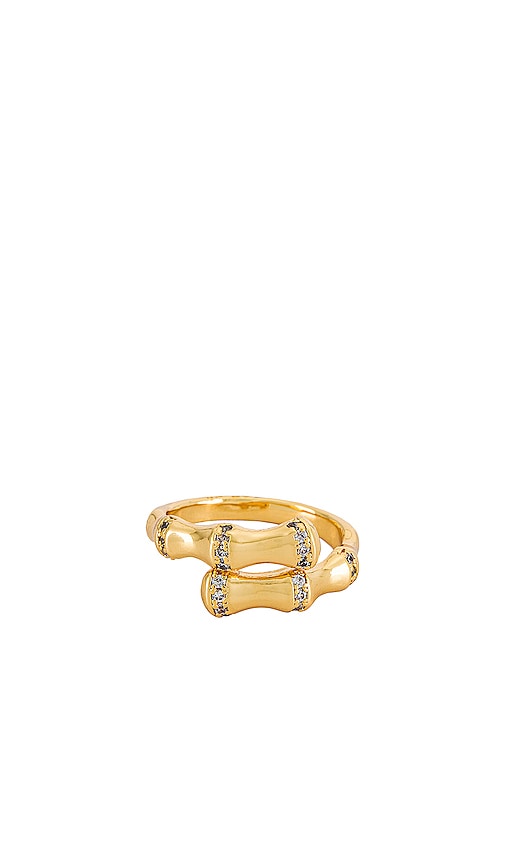 Natalie B Jewelry Bibi Bamboo Ring in Gold