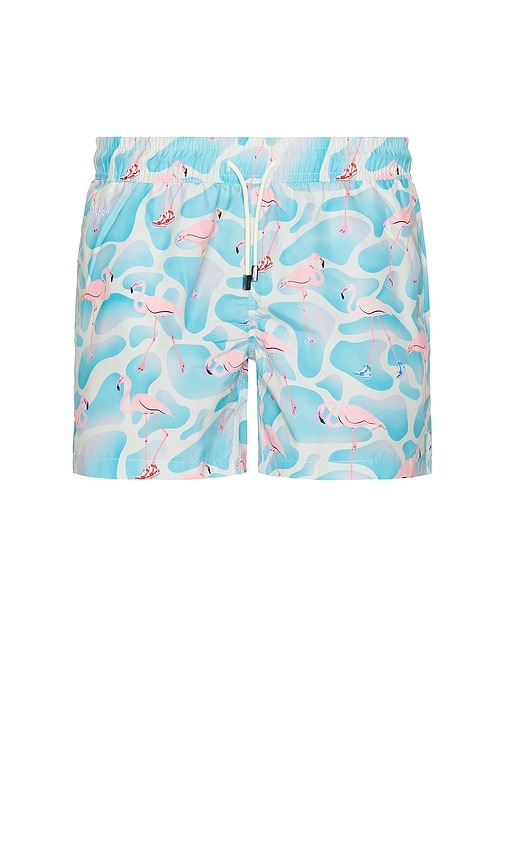 Flamingo Swim Trunks in Blue. - size XL/1X (also in L, M, S)