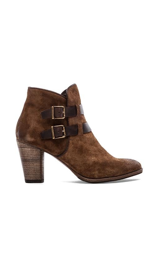 Sharon Bootie