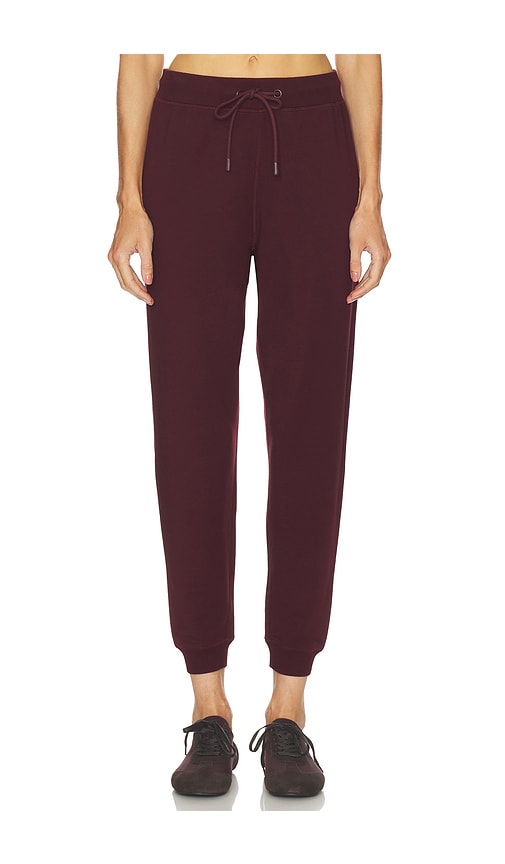 Negative Underwear Club Jogger in Garnet