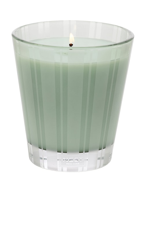 Nest New York Wild Mint & Eucalyptus Classic Candle In N,a