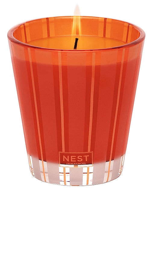 Nest New York 8 Oz. Pumpkin Chai Classic Candle In Orange