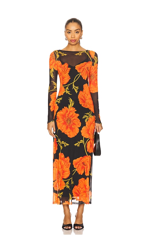 Never Fully Dressed Poppy Mesh Dress in Black