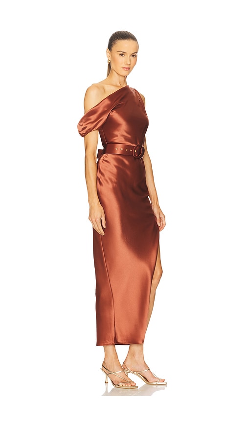 Nicholas Eartha Dress In Brown