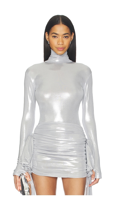 Slim Fit Long Sleeve Turtle Top