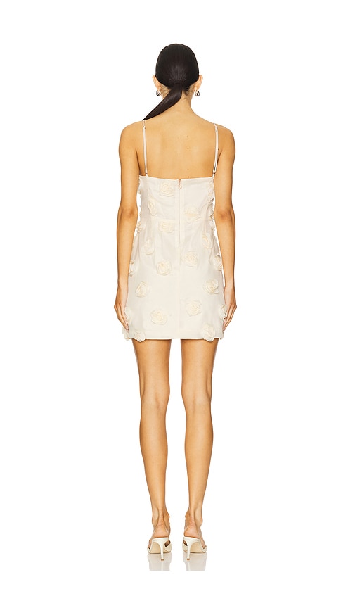  Nookie Minikleid Rosalie In Nude. Größe M. Also In L. 